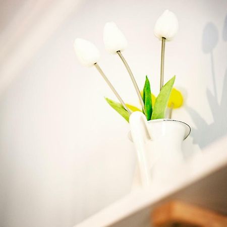 Hi Suite Malaga Centro 외부 사진