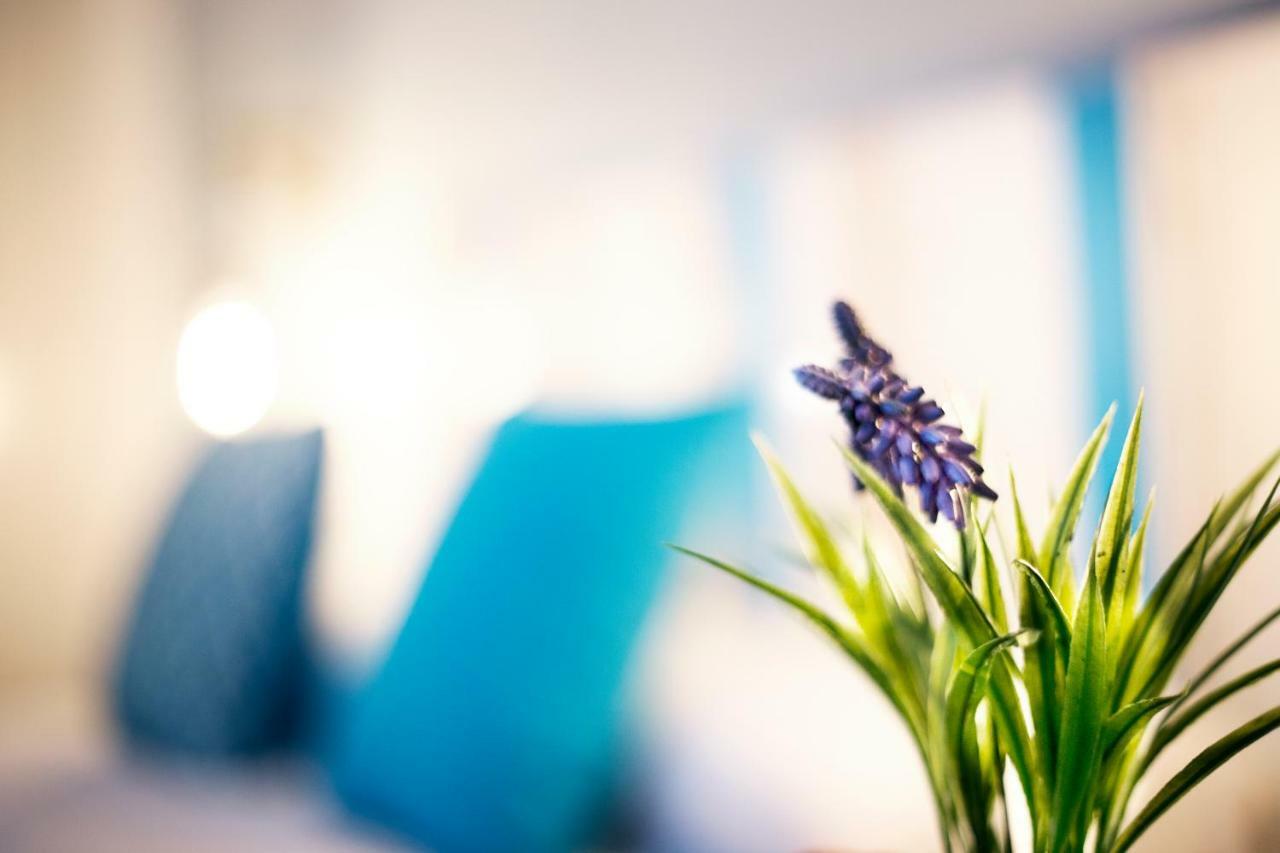Hi Suite Malaga Centro 외부 사진
