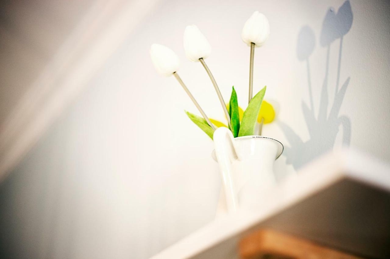 Hi Suite Malaga Centro 외부 사진